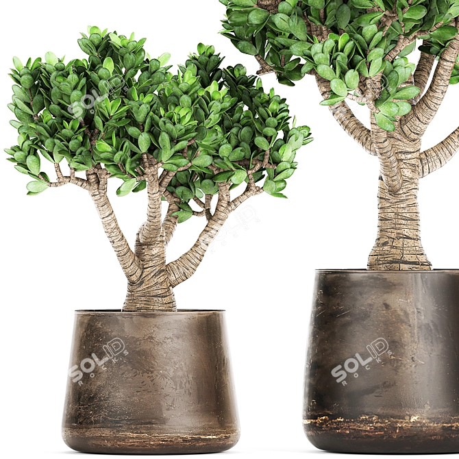 Exotic Plant Collection in Metal Vases 3D model image 2