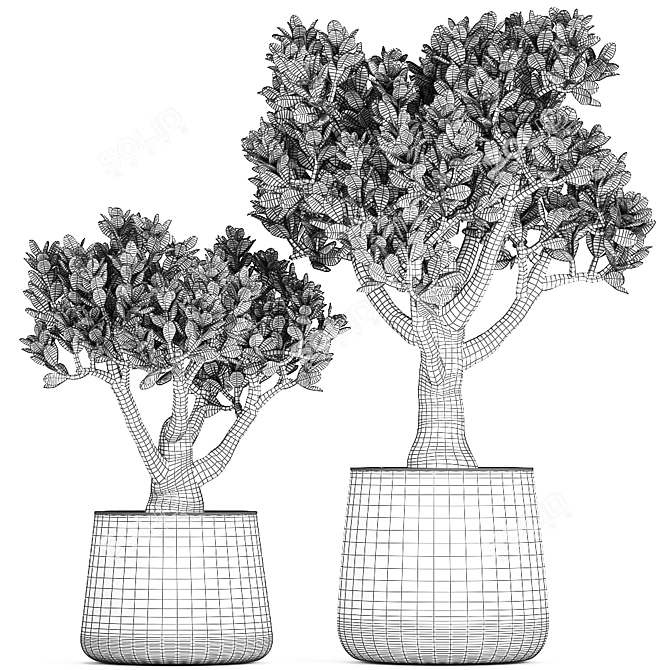 Exotic Plant Collection in Metal Vases 3D model image 7