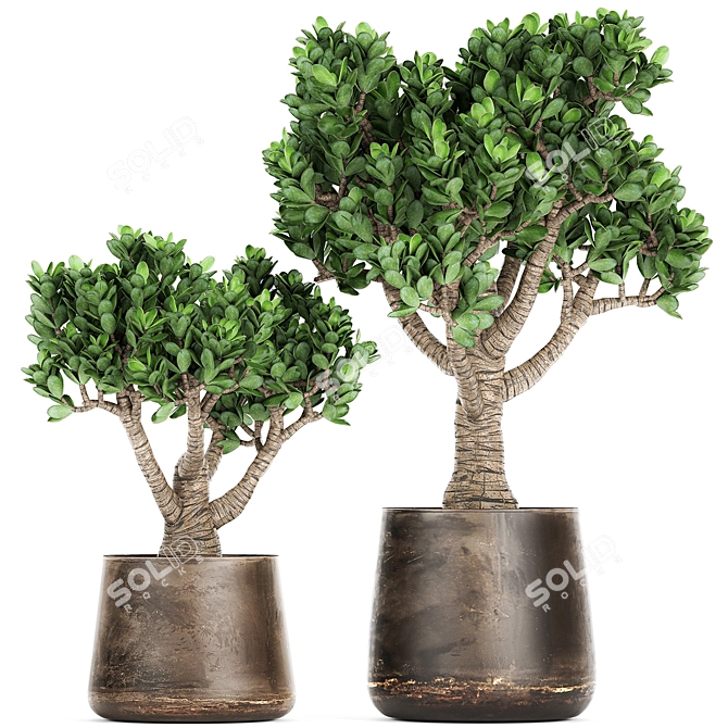 Exotic Plant Collection in Metal Vases 3D model image 8