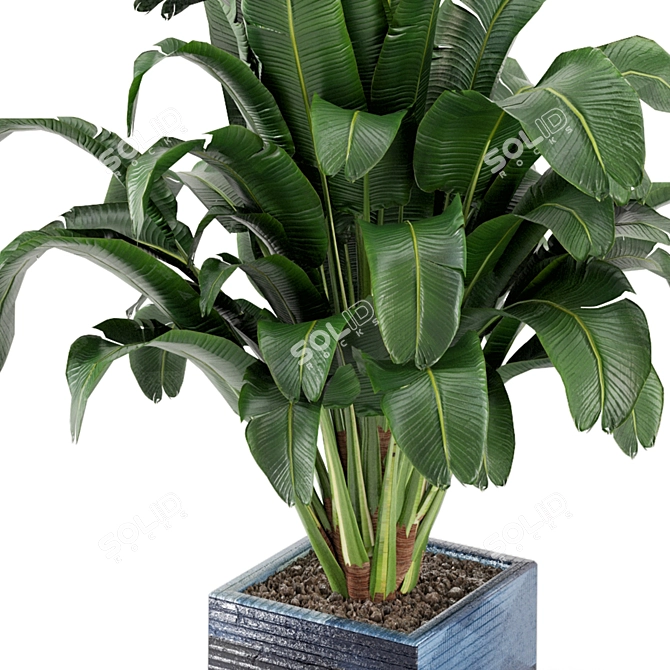 Exquisite Indoor Plant Collection 3D model image 3