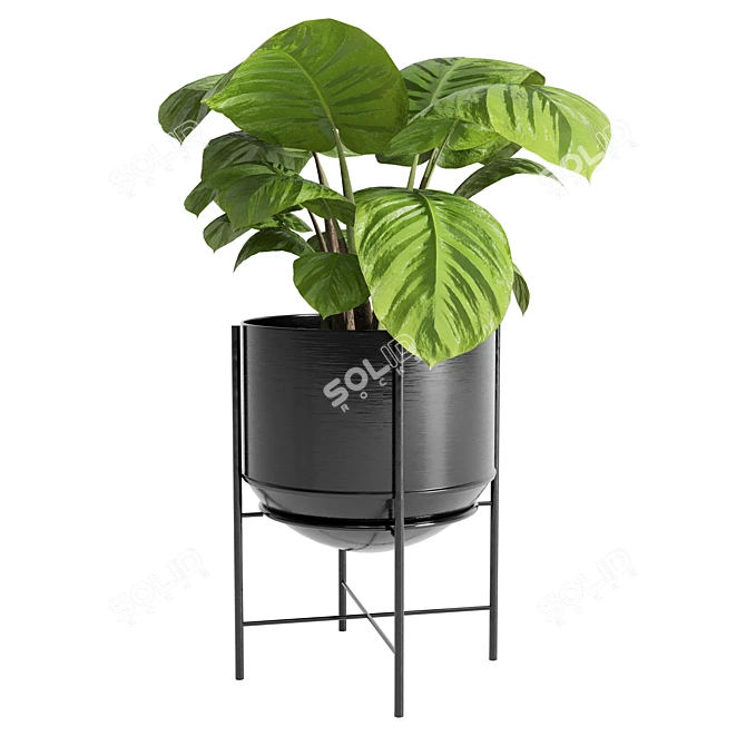 Metal Vase Indoor Plant Collection 3D model image 2