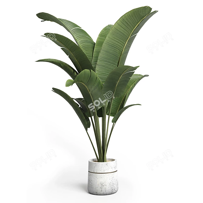 Modern Concrete Vase with Indoor Plant 3D model image 3