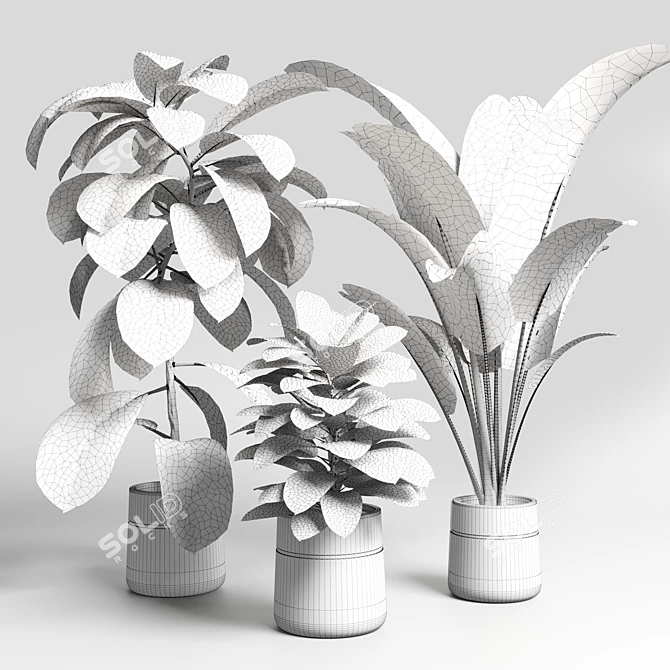 Modern Concrete Vase with Indoor Plant 3D model image 5