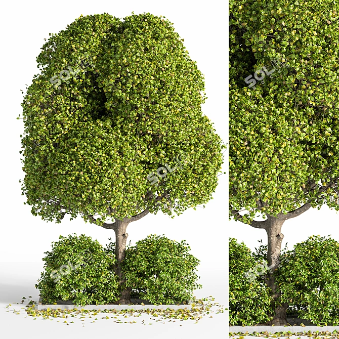 Outdoor Oasis Tree: Natural Beauty for Your Space 3D model image 1