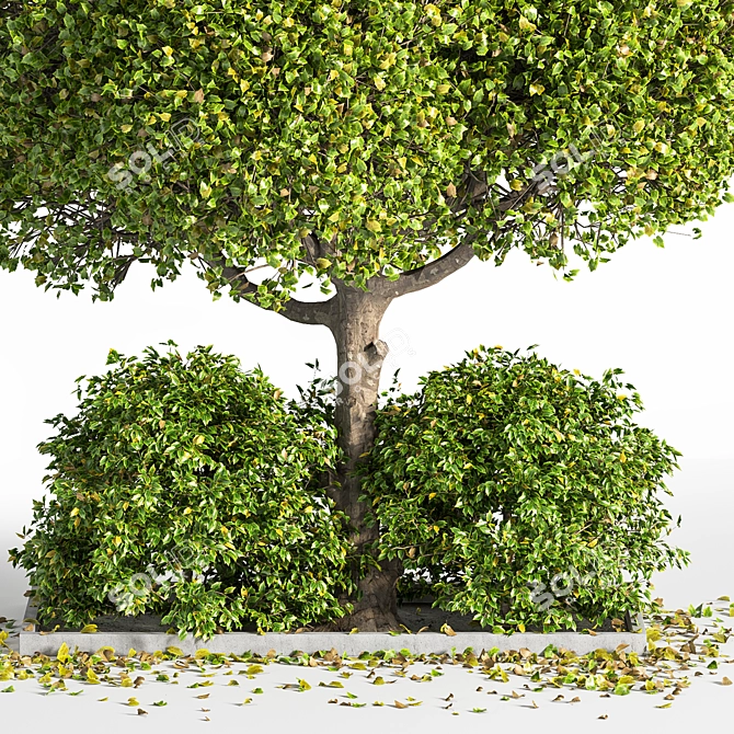 Outdoor Oasis Tree: Natural Beauty for Your Space 3D model image 2