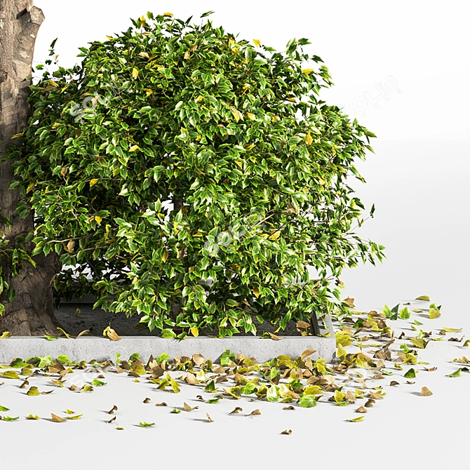 Outdoor Oasis Tree: Natural Beauty for Your Space 3D model image 5