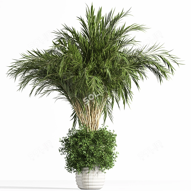 Modern Concrete Binjamin: Indoor Plant 3D model image 1