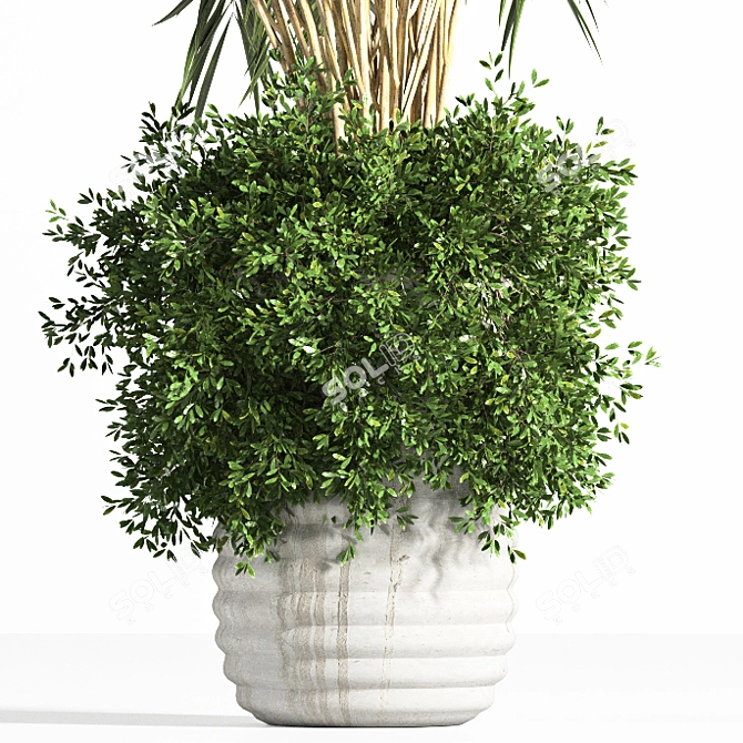 Modern Concrete Binjamin: Indoor Plant 3D model image 3