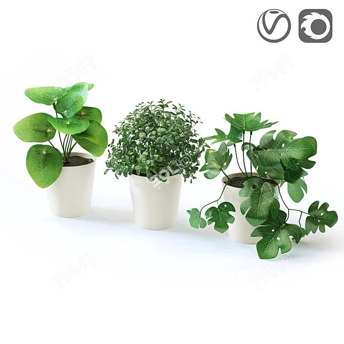 Realistic FEJKA Fake Plants 3D model image 1