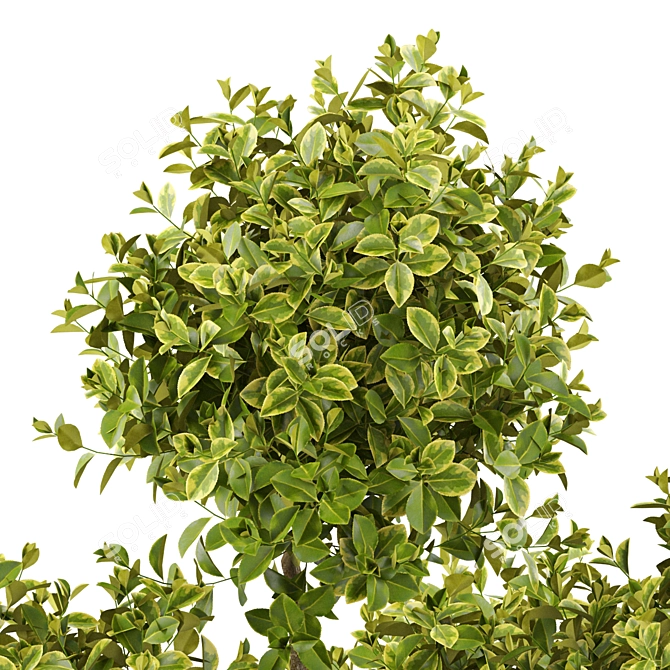 Botanical Extravaganza: Lush Greenery Medley 3D model image 3