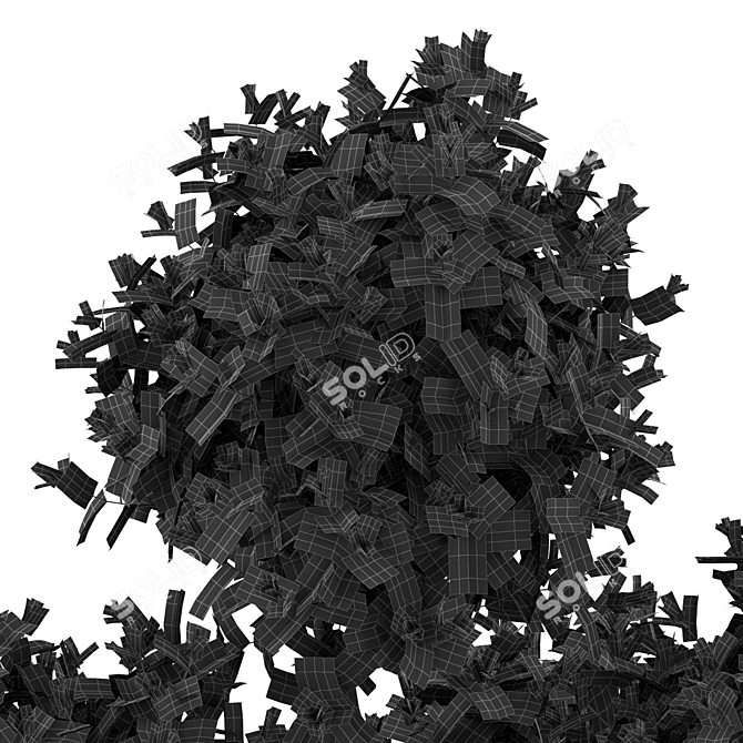 Botanical Extravaganza: Lush Greenery Medley 3D model image 4