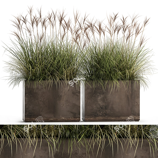 Exotic Plant Collection: Decorative Grasses, Reeds & More 3D model image 5