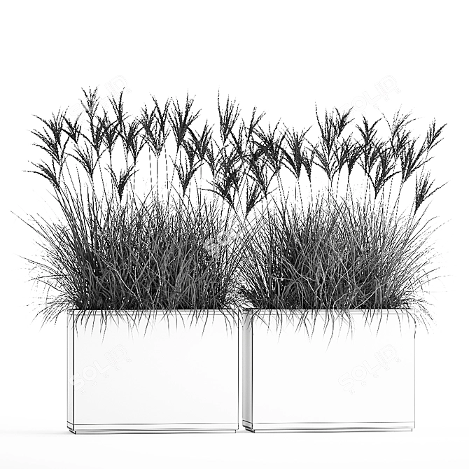 Exotic Plant Collection: Decorative Grasses, Reeds & More 3D model image 6