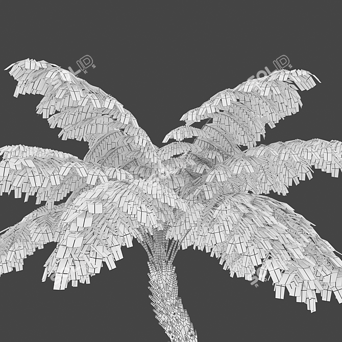 Tall Tree Fern Set 3D model image 4