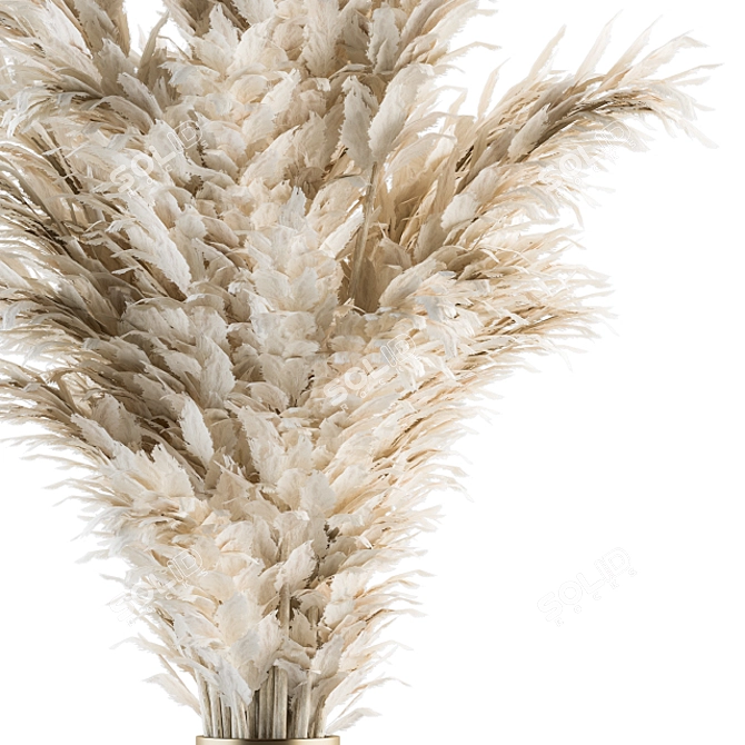 Pampas Bliss - Dried Delight! 3D model image 3