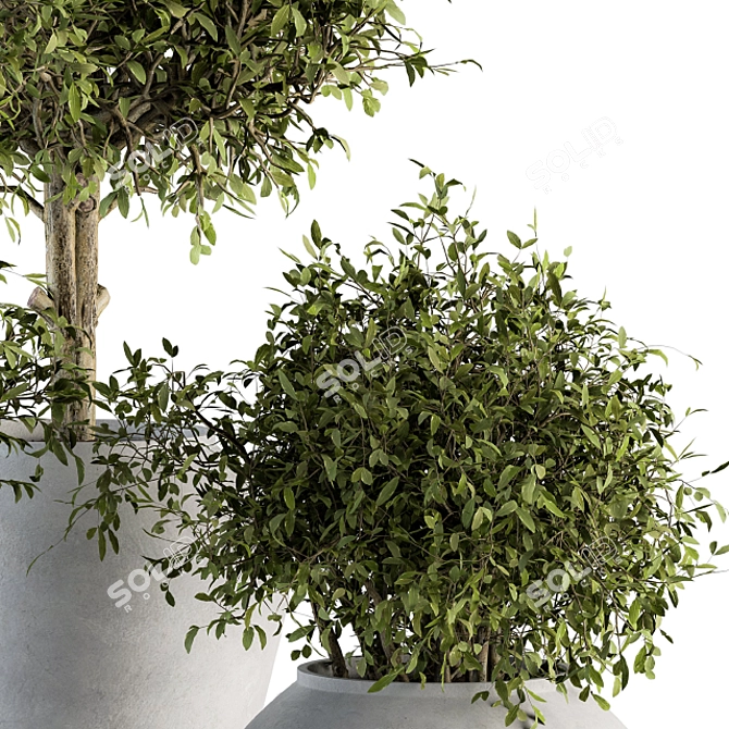 Green Oasis: Outdoor Plant Set 177 3D model image 4