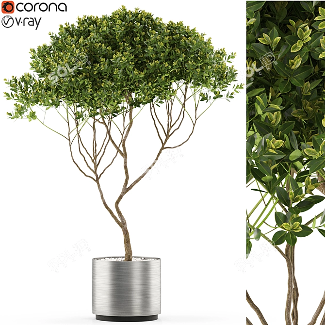 501 Plant Collection: Botanical Beauties 3D model image 1