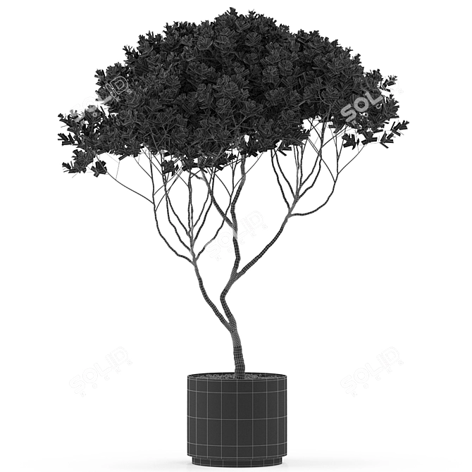 501 Plant Collection: Botanical Beauties 3D model image 3