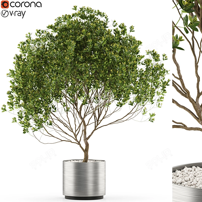 Botanical Beauty Collection 502 3D model image 1