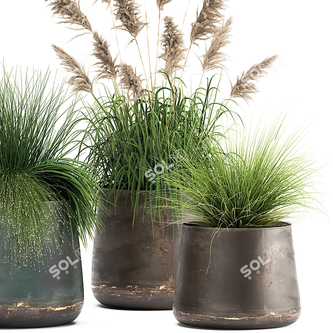 Exotic Plant Collection - Reclaimed Iron Pots 3D model image 4