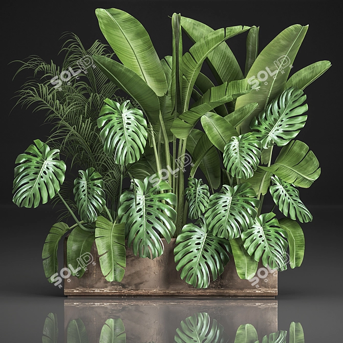 Exotic Plant Collection 3D model image 1