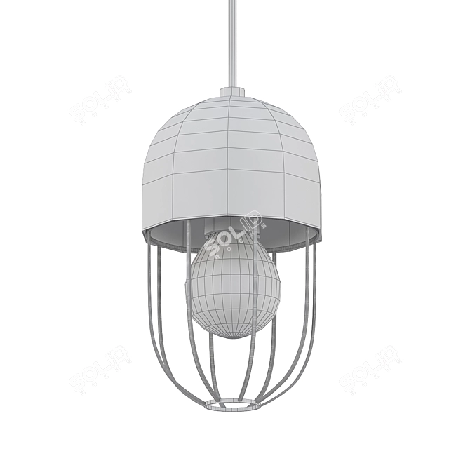 Stylish Metal Cage Pendant 3D model image 2