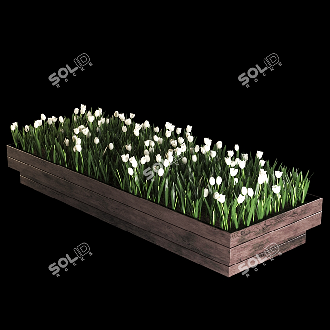 Polyscape Plant: 424k Beauty 3D model image 2