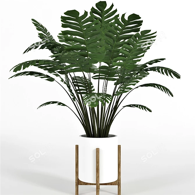 Green Haven Collection: 4 Indoor Plants 3D model image 2