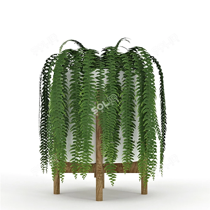 Green Haven Collection: 4 Indoor Plants 3D model image 5