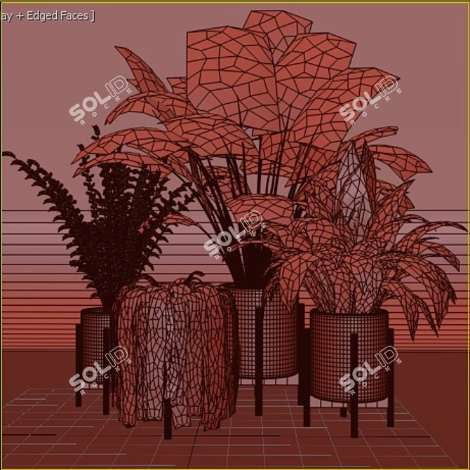 Green Haven Collection: 4 Indoor Plants 3D model image 6