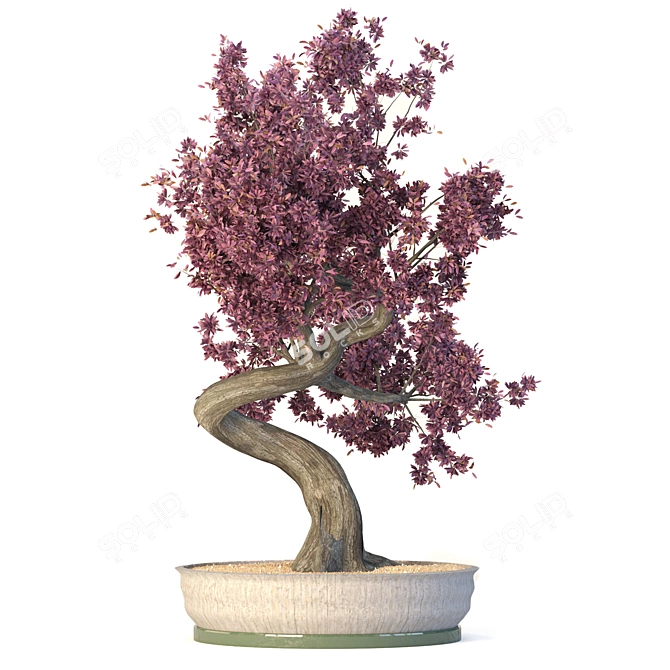 Exquisite Bonsai Tree: Versatile, High-Quality 3D model image 1