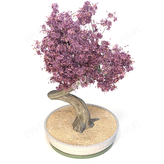 Exquisite Bonsai Tree: Versatile, High-Quality 3D model image 2