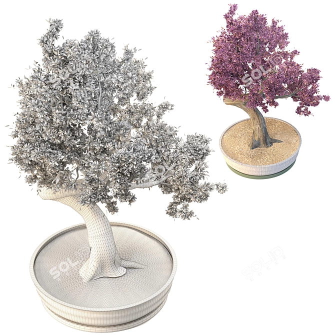 Exquisite Bonsai Tree: Versatile, High-Quality 3D model image 3