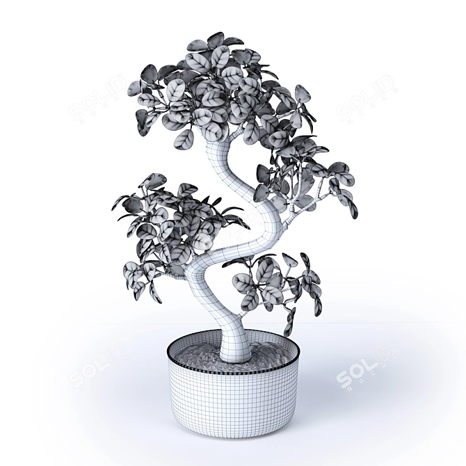 FEJKA FEYKA Artificial Bonsai 3D model image 2