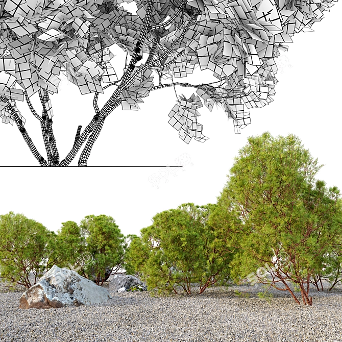 Redshanks Tree: Two Models, 2.5m Height 3D model image 3