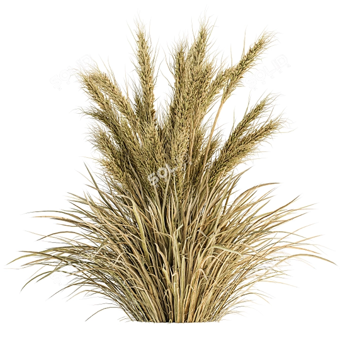 24-Piece Wheat Bush Set: Natural and Realistic 3D model image 6