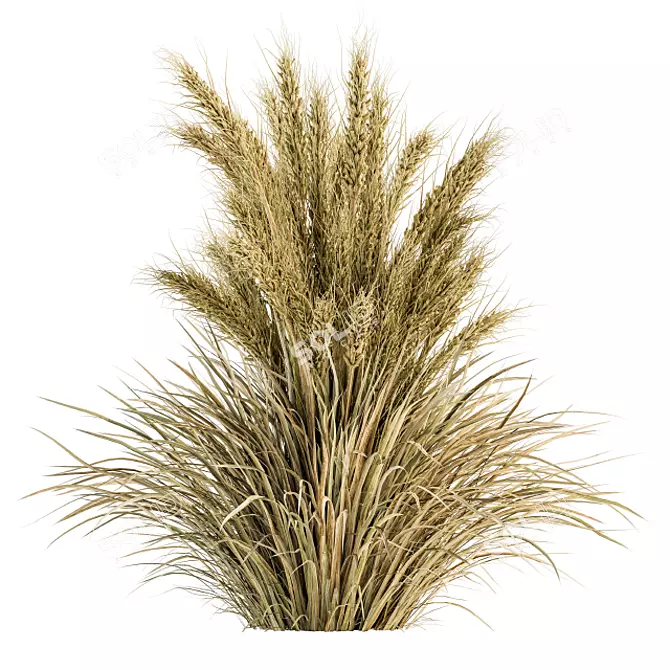 24-Piece Wheat Bush Set: Natural and Realistic 3D model image 1