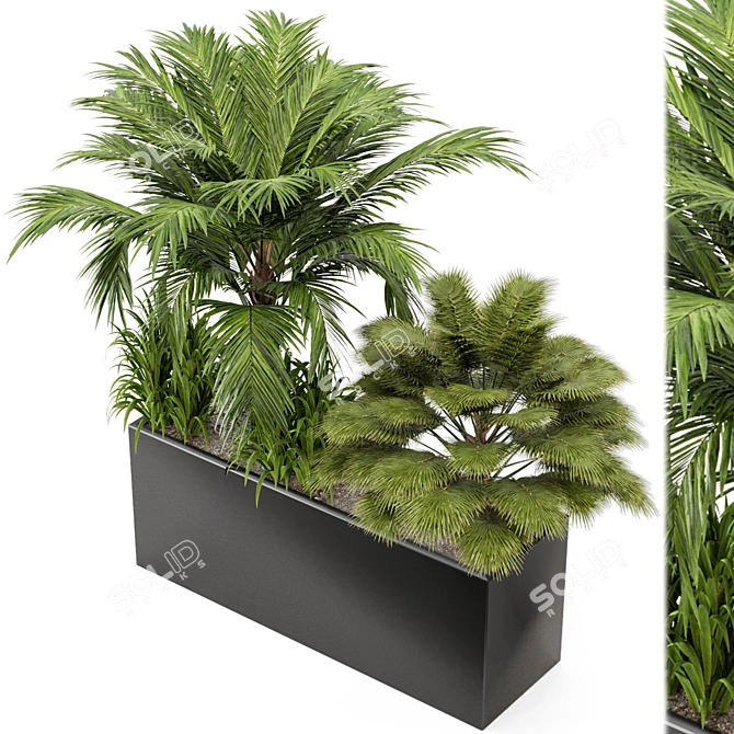 Outdoor Plant Set 011: V-Ray/Corona Collection 3D model image 1
