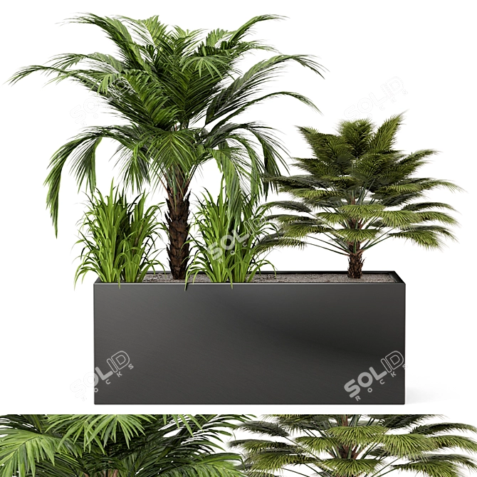 Outdoor Plant Set 011: V-Ray/Corona Collection 3D model image 2