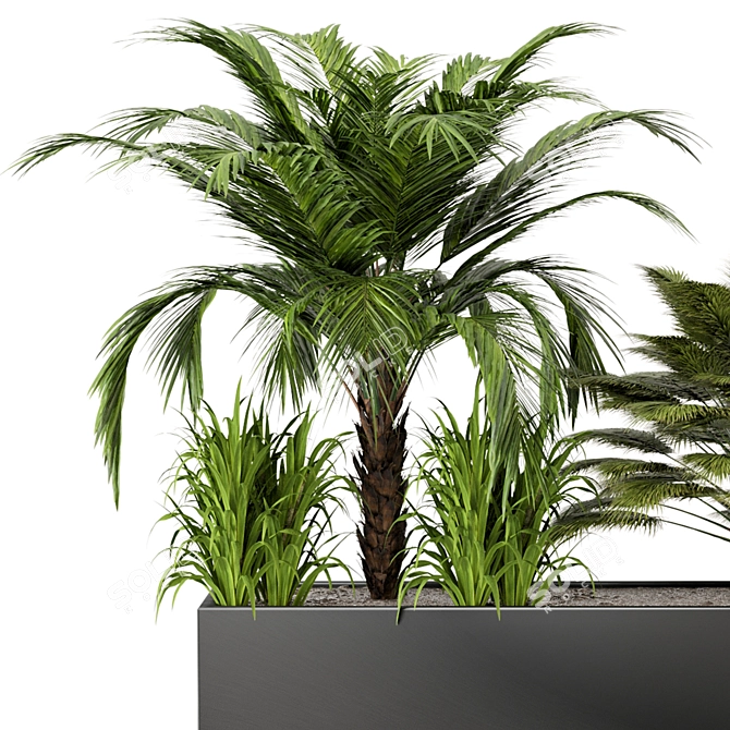 Outdoor Plant Set 011: V-Ray/Corona Collection 3D model image 3