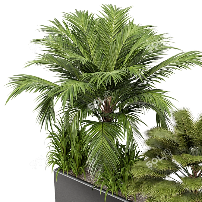 Outdoor Plant Set 011: V-Ray/Corona Collection 3D model image 5