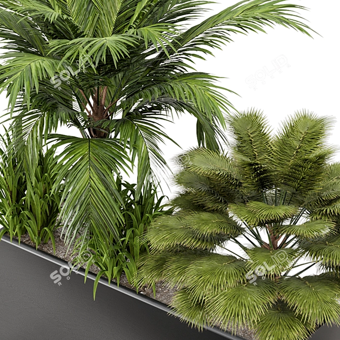 Outdoor Plant Set 011: V-Ray/Corona Collection 3D model image 6