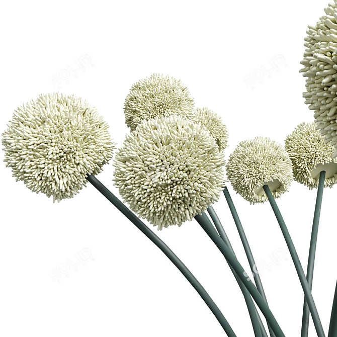 Elegant White Allium Vase: Handmade Flowers 3D model image 2