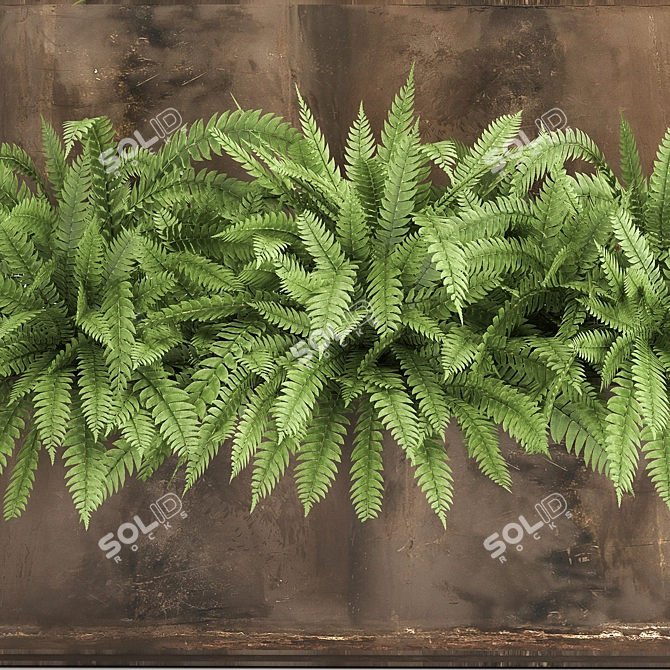 Tropical Plant Oasis 3D model image 2