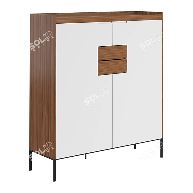 BRX1702 Shoe Cabinet: Sleek and Modern 3D model image 1