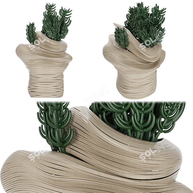 Desert Dream Cactus Pot 3D model image 2