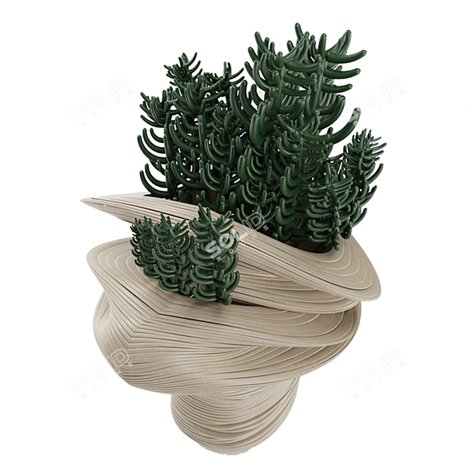 Desert Dream Cactus Pot 3D model image 3