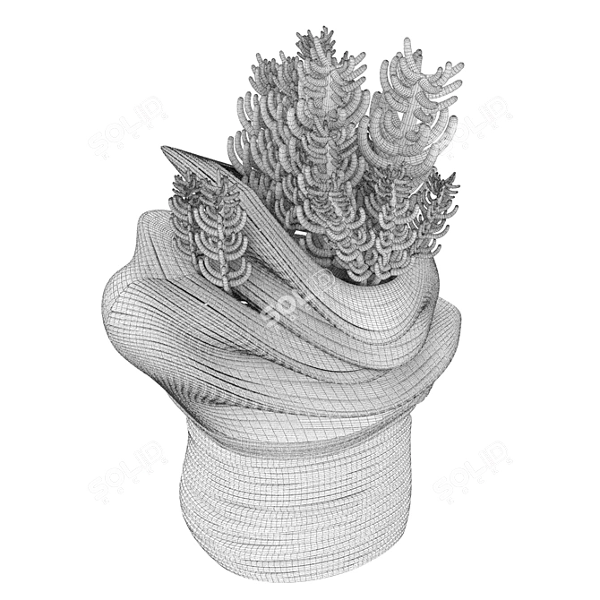 Desert Dream Cactus Pot 3D model image 4