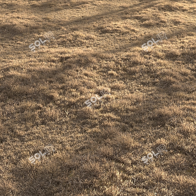 Dried Grass Landscape: 30 Scattered Patterns 3D model image 5