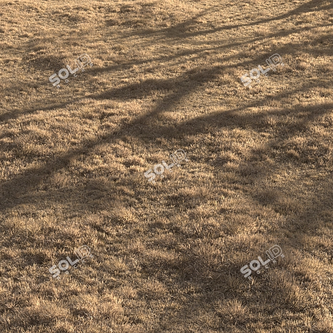 Dried Grass Landscape: 30 Scattered Patterns 3D model image 6